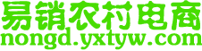 易销农村电商